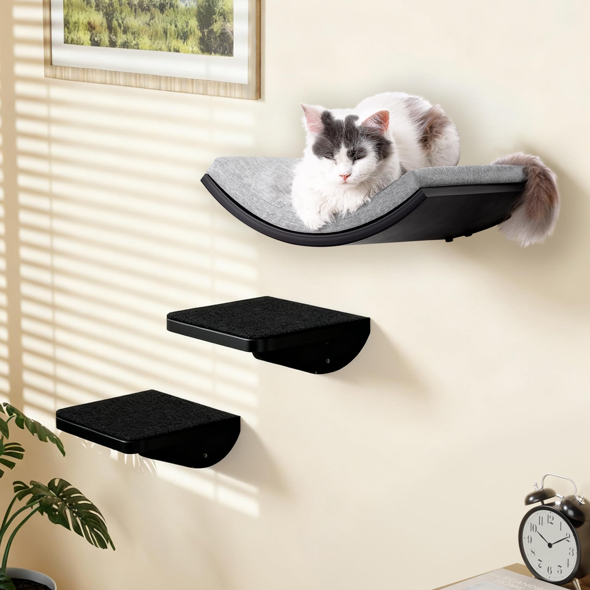 Katzen Kletterwand, Gebogenes Katzen-Wandregal mit Sisal-Kra
