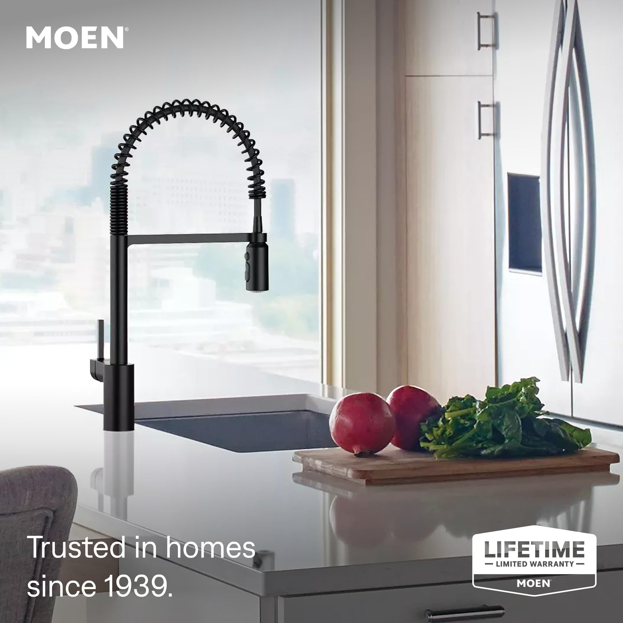 Moen Align Matte Black One-Handle Single Hole Pre-Rinse Spring