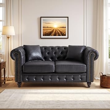 Small Loveseat Sofa Couch, Comfy Chesterfield Sofa for Living Room, Upholstered Button Tufted Love Seat Sofa with Nailhead Trim&Roll Armrest, Mid Century Modern Couch with Tappered Legs, 63.5 inch