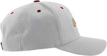 ZHATS NCAA Unisex-Adult NCAA Officially Licensed Snapback Hat Competitor Gray