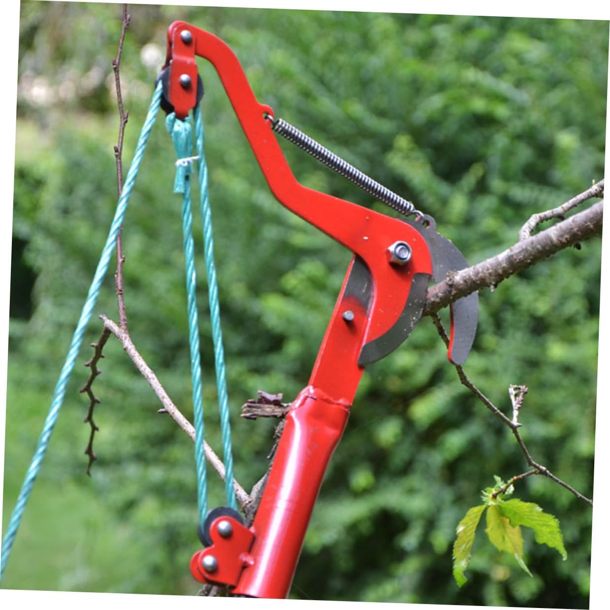 Extendable Tree Pruner with Rope, Fruit Picker Harvester Clipper, Labor-saving Garden Trimming Tool for High Branches and Citrus Tree Pruning