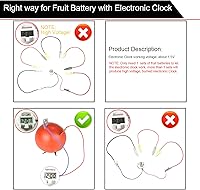 Vista 3 de Kit de experimento de batería de frutas EUDAX para equipo de enseñanza escolar y en casa de bricolaje, kit de proyecto de ciencia de reloj