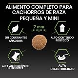 Ver la foto 7