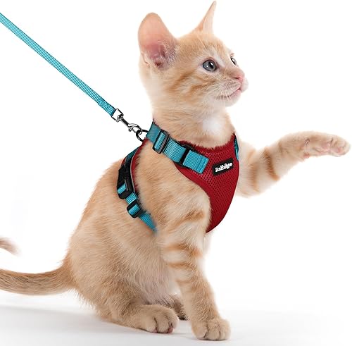 Miniatura 92 de rabbitgoo Cat Harness and Leash for Walking, Escape Proof Soft Adjustable Vest Harnesses for Cats, Easy Control Breathable Reflective Strips Jacket