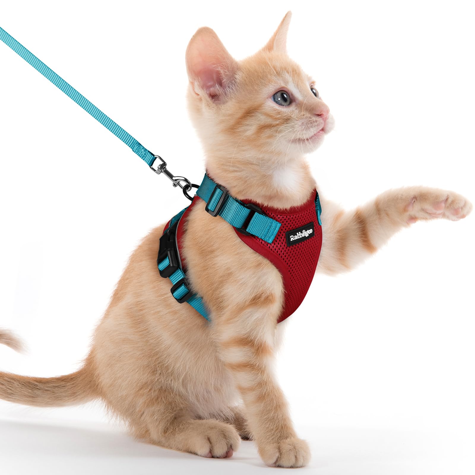 rabbitgoo Cat Harness and Lead Set, Adjustable Escape Proof Cat Lead for Walking, Reflective Kitten Harness Set, Soft and Comfortable for Kittens and Small Cats, Red & Teal, XXS