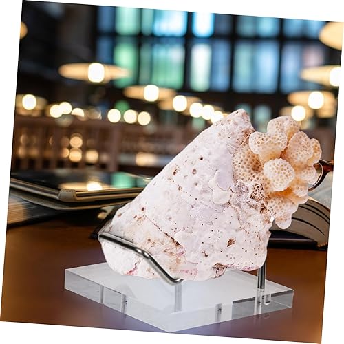 Miniatura 9 de Soporte de exhibición transparente para minerales de exhibición de roca, pedestales de ágata de coral, soporte de minerales para exhibición de