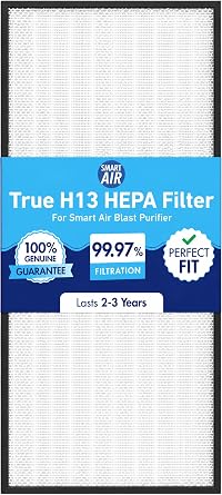 Smart Air aka Smart Health Blast MKII Genuine Replacement HEPA Filter for Air Purifier | High Efficiency 99.97 Percent HEPA Filter for Dust, Smoke & Pollen