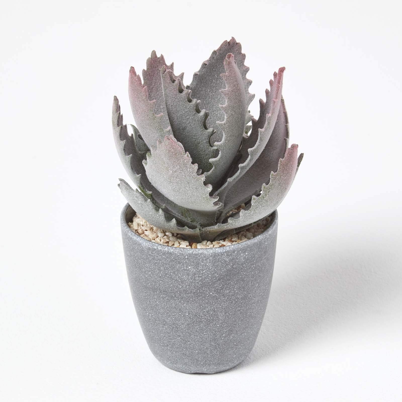 Homescapes Green Purple & Aloe Vera Artificial Succulent In Grey Pot