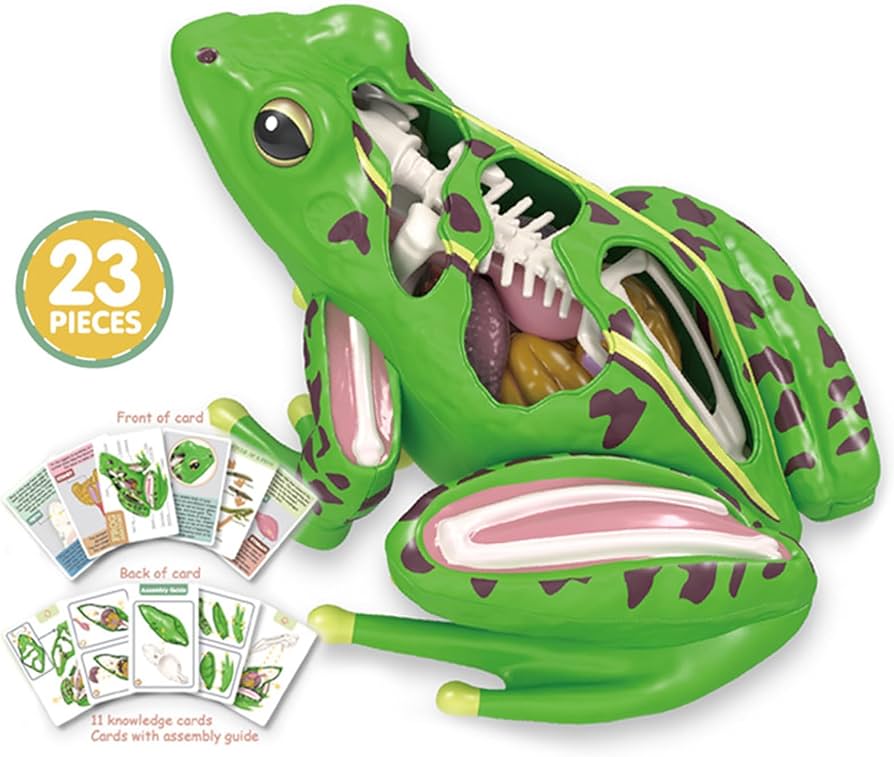 新品美品▪️ブーフーウージャケット130cm検フォーマル 卒園 入学 カエル 新品美品▪️ブーフーウージャケット130cm検フォーマル 卒園 入学