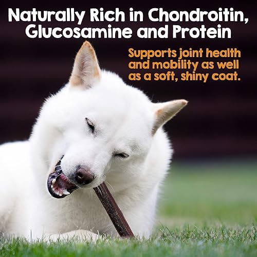 Miniatura 3 de Riley's Palitos de colágeno de carne de res de 12 pulgadas para perros, masticables de colágeno para perros, Bully Stick y alternativa de cuero