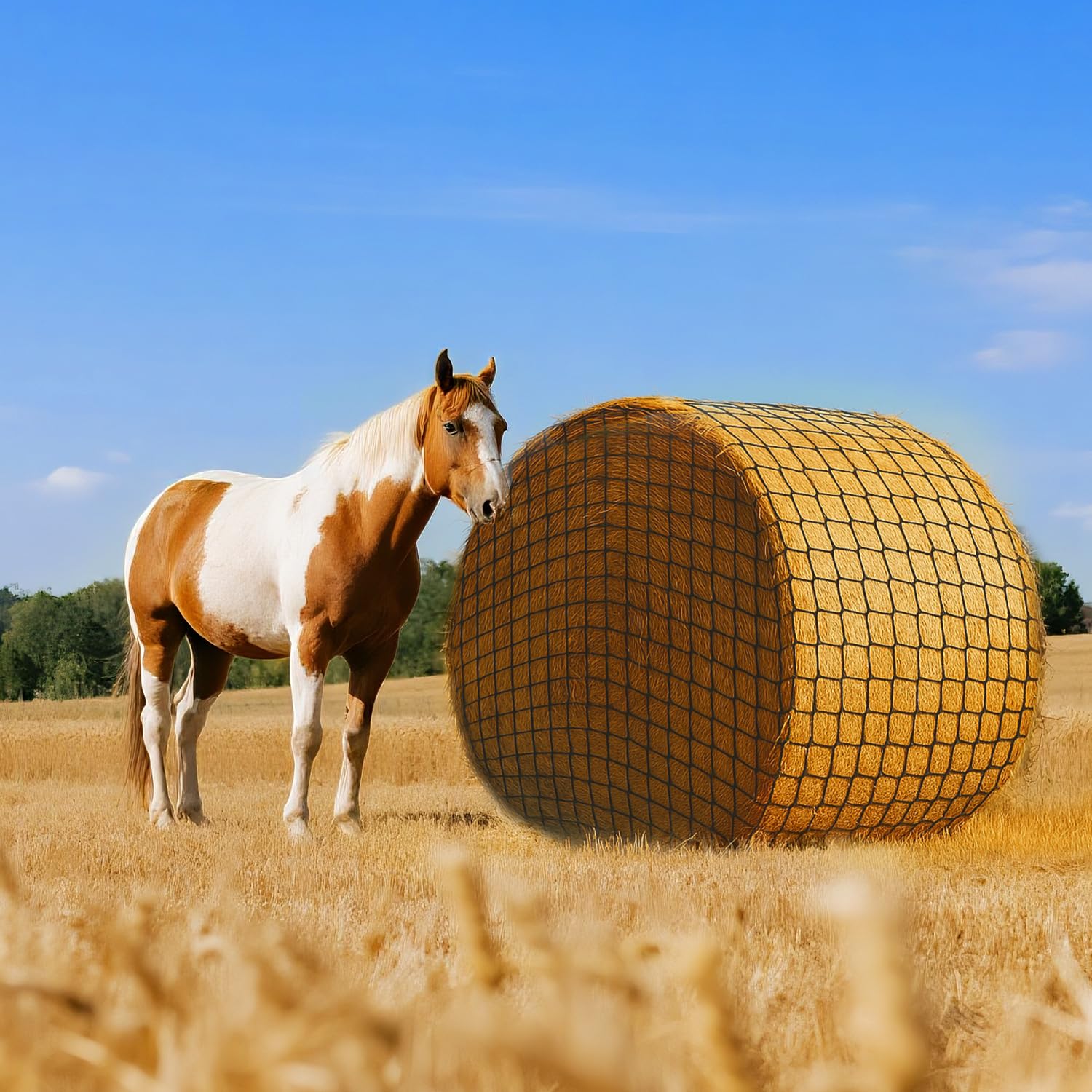 Rete da Fieno per Balle Rotond-Standard ø159cm, Rete Fieno Rotolo, Materiale morbido che protegge la bocca del cavallo, Prolunga il tempo di alimentazione,per nutrire e conservare il fieno per cavalli