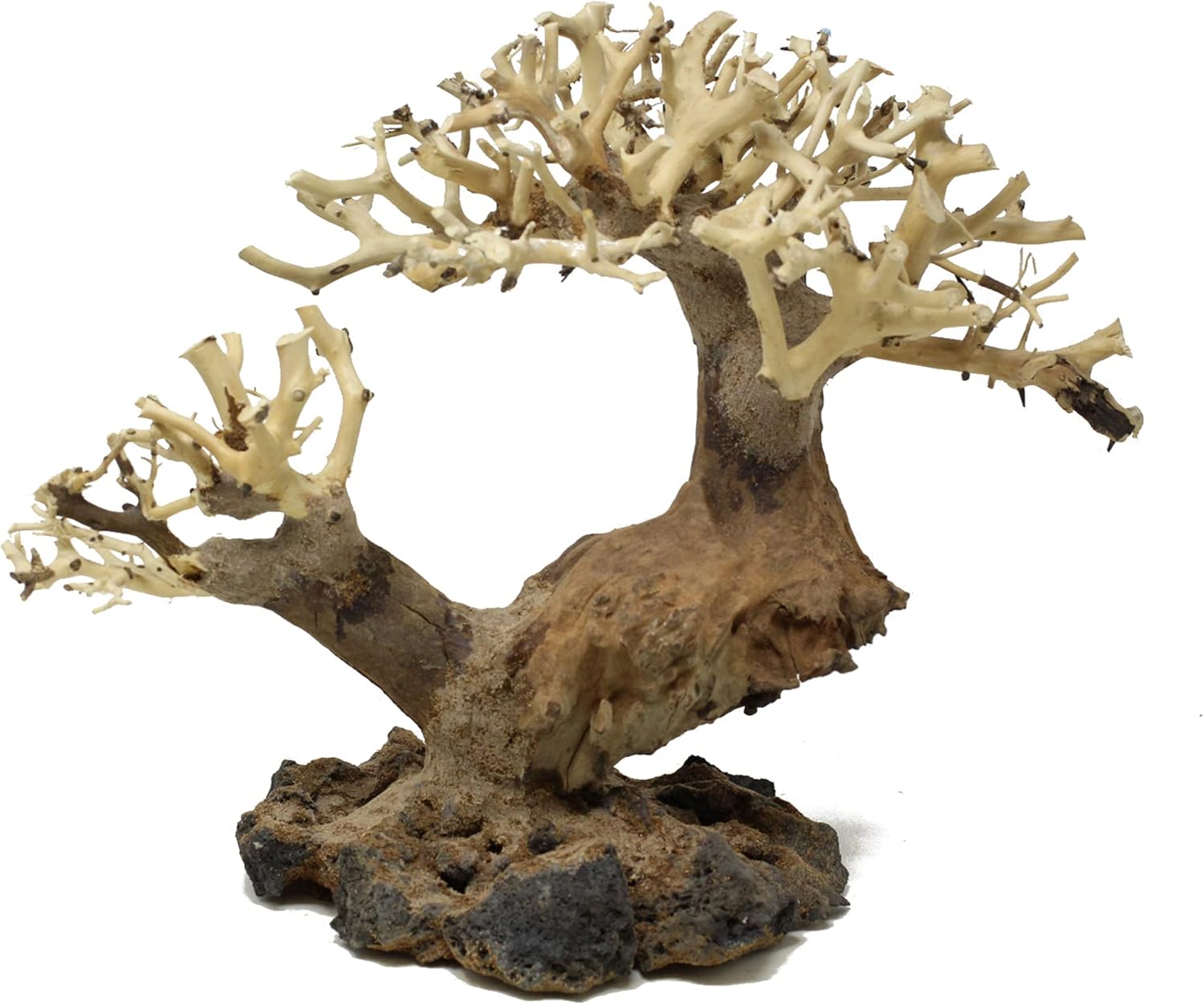 Aquarium Tree AWD Random Pick (10in Height) Natural, Handcrafted Fish Tank Decoration | Easy to Install