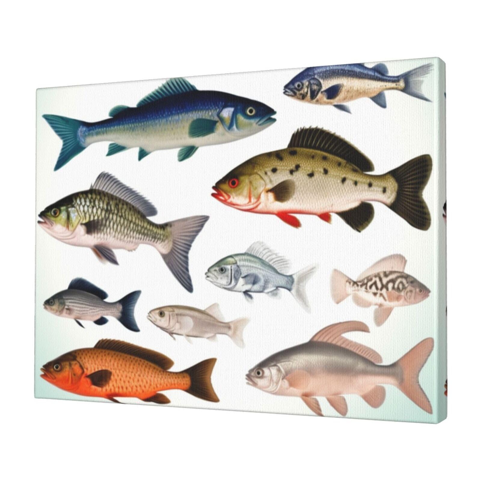 KLOPH Different Fish Canvas Wall Art for Living Room 12"x16" Modern Artwork Painting for Bathroom Hanging Canvas Prints Aesthetic Wallart for Bedroom Kitchen Office Wall Decor