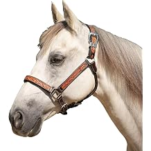 Schneiders McKenzie Padded Leather Ranch Halter for Horses | Premium Argentine Leather with Hand-Tooled Basketweave & Floral Design | Western Style & Comfort Fit