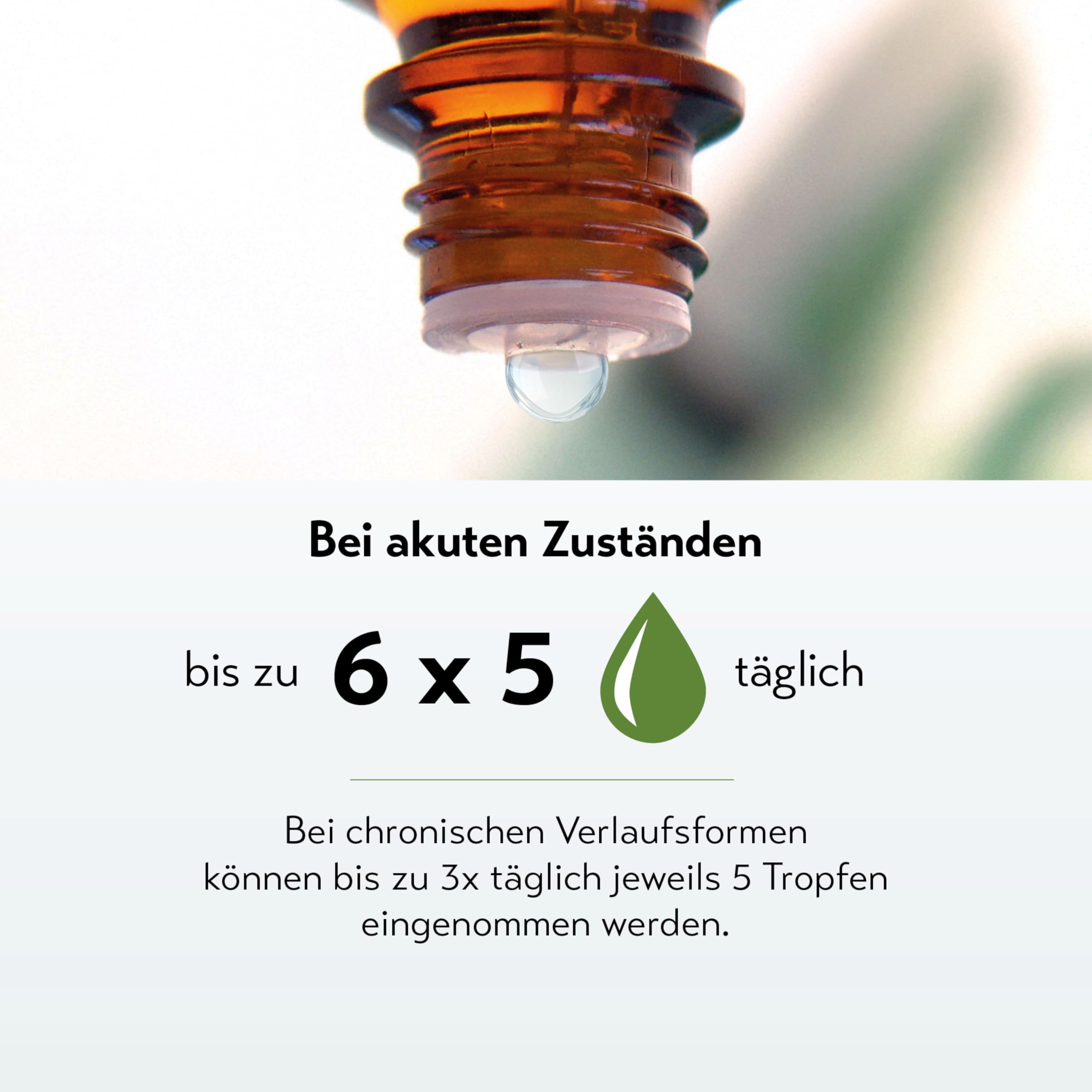 Restaxil Tropfen [100ml] - Natürliches Arzneimittel bei Nervenschmerzen (Neuralgien); Bei neuropathischen Schmerzen in Füßen, Rücken und Ischias