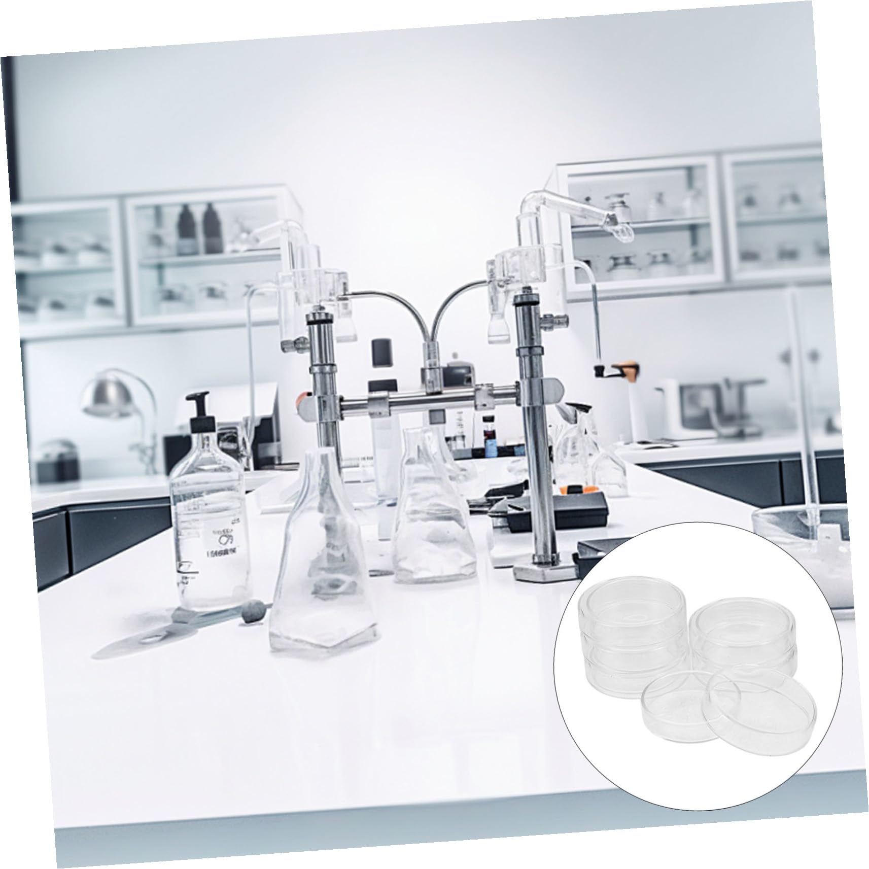 Ciieeo 6pezzi Piastra di Petri in Vetro per Laboratorio Piastra di Coltura Trasparente con Coperchio Resistente alle Alte Temperature Riutilizzabile per Esperimenti e Ricerche Cellulari