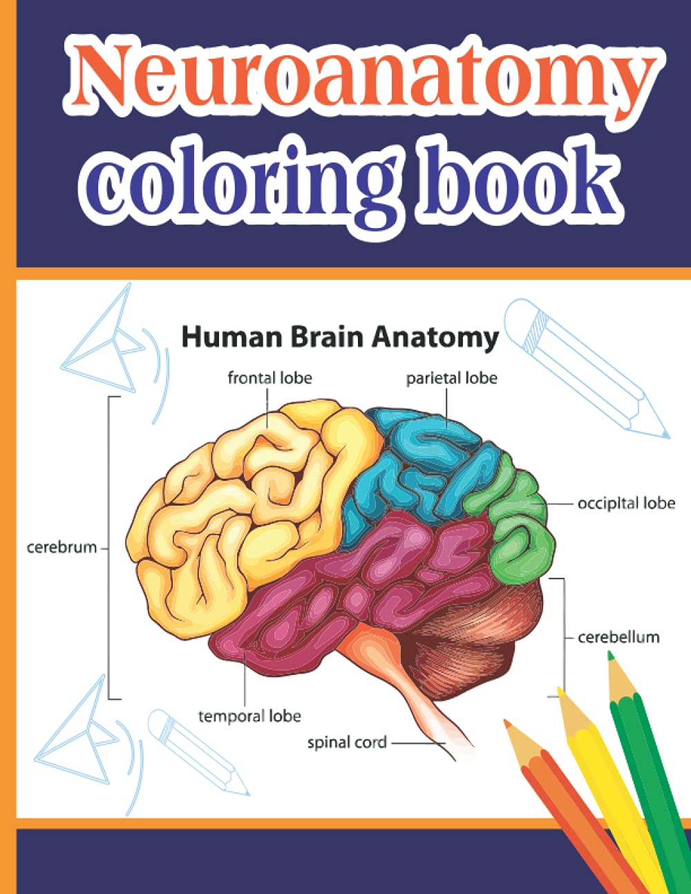 Buy Neuroanatomy Coloring Book for kids and adults: Students Self-Test ...