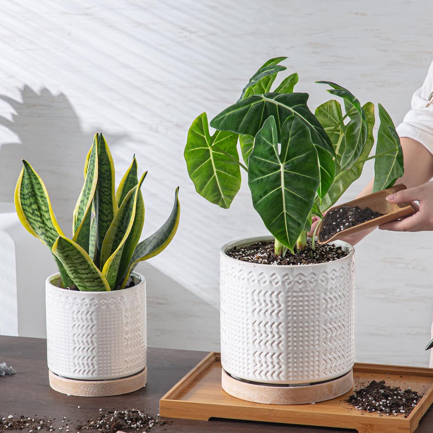 Indoor-Outdoor Ceramic Plant Pots: 8 Inch Flower Pots with Drainage Hole & Saucer - Decorative Ceramic Pots for Plants Herbs Succulents - Home Garden Patio Lawn Use