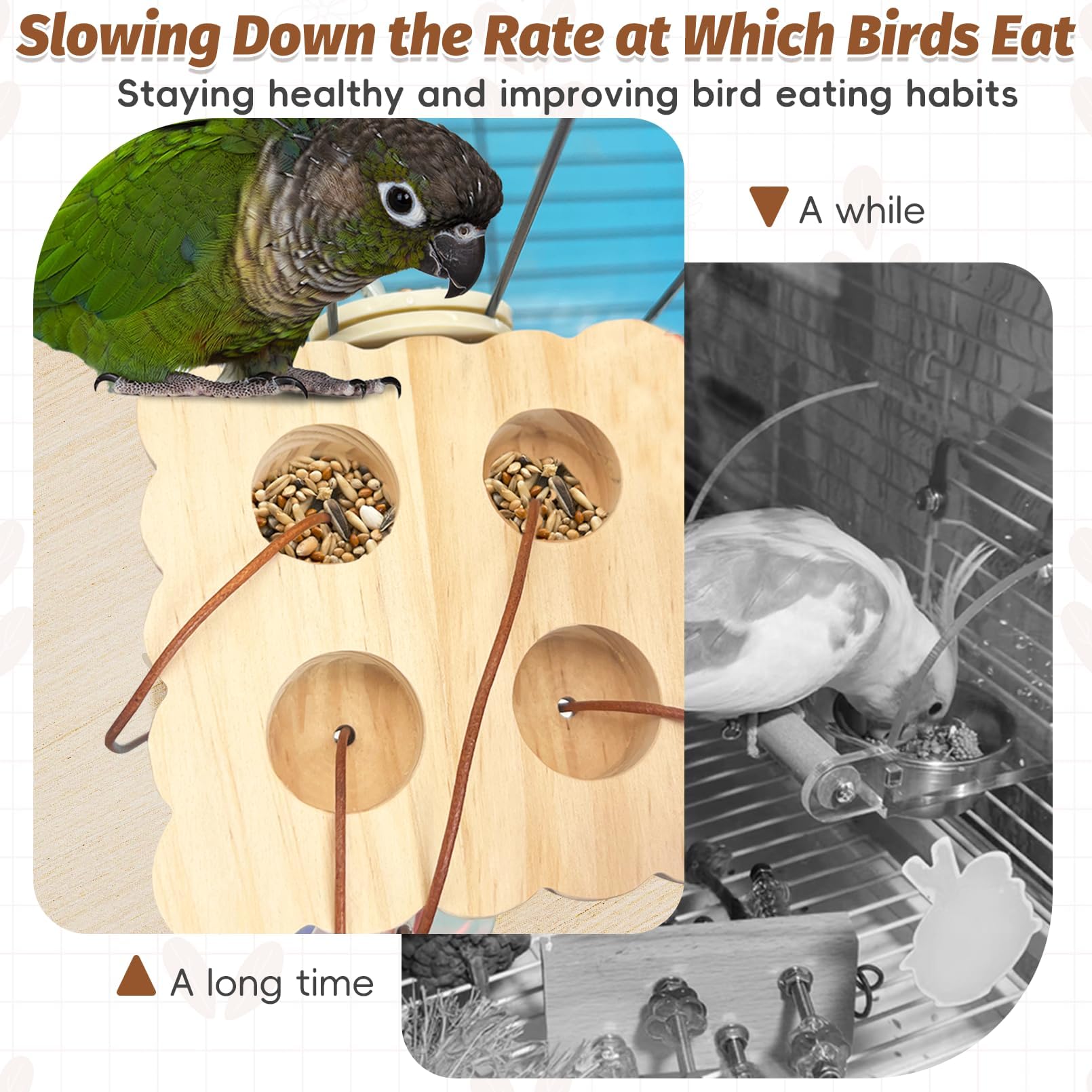 PINVNBY 2 PCS Small Bird Foraging Toys Wooden Parakeet Interactive Puzzle Toys Enrichment Chewing Training Toys for Cage Birds Cockatiel Lovebird Parakeet Budgie Small-Medium Birds - image 3