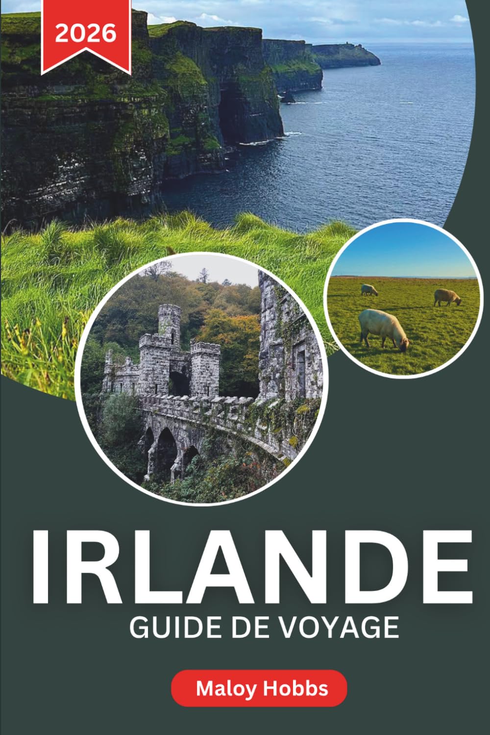 Irlande Guide De Voyage 2026: Explorez les sentiers côtiers, les pubs animés, l'histoire médiévale et les paysages inoubliables de Dublin à la Wild Atlantic Way.