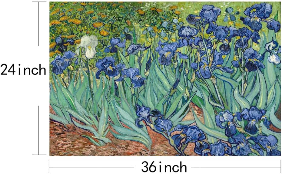 YRYWAWA Van Gogh Irises Canvas Wall Art Irises Flower Garden Canvas Art Prints Famous Oil Painting Reproduction Pictures Modern Floral Artwork Classic Decor for Living Room Bedroom Office Home Decor 24x36 inch