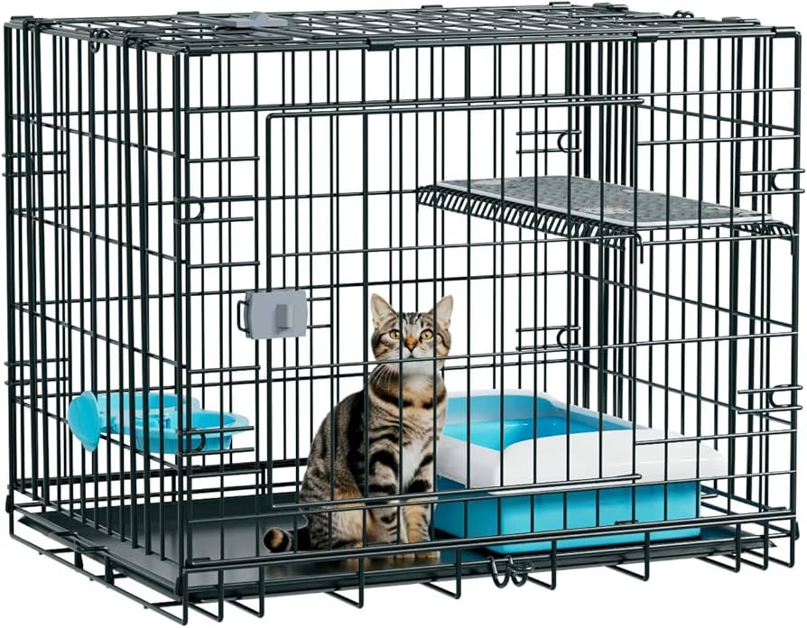 ねこ:0ページ Amazon.co.jp: VAG（VINYL ARTIST GACHA）VAG BOX SERIES1 干支のネコ