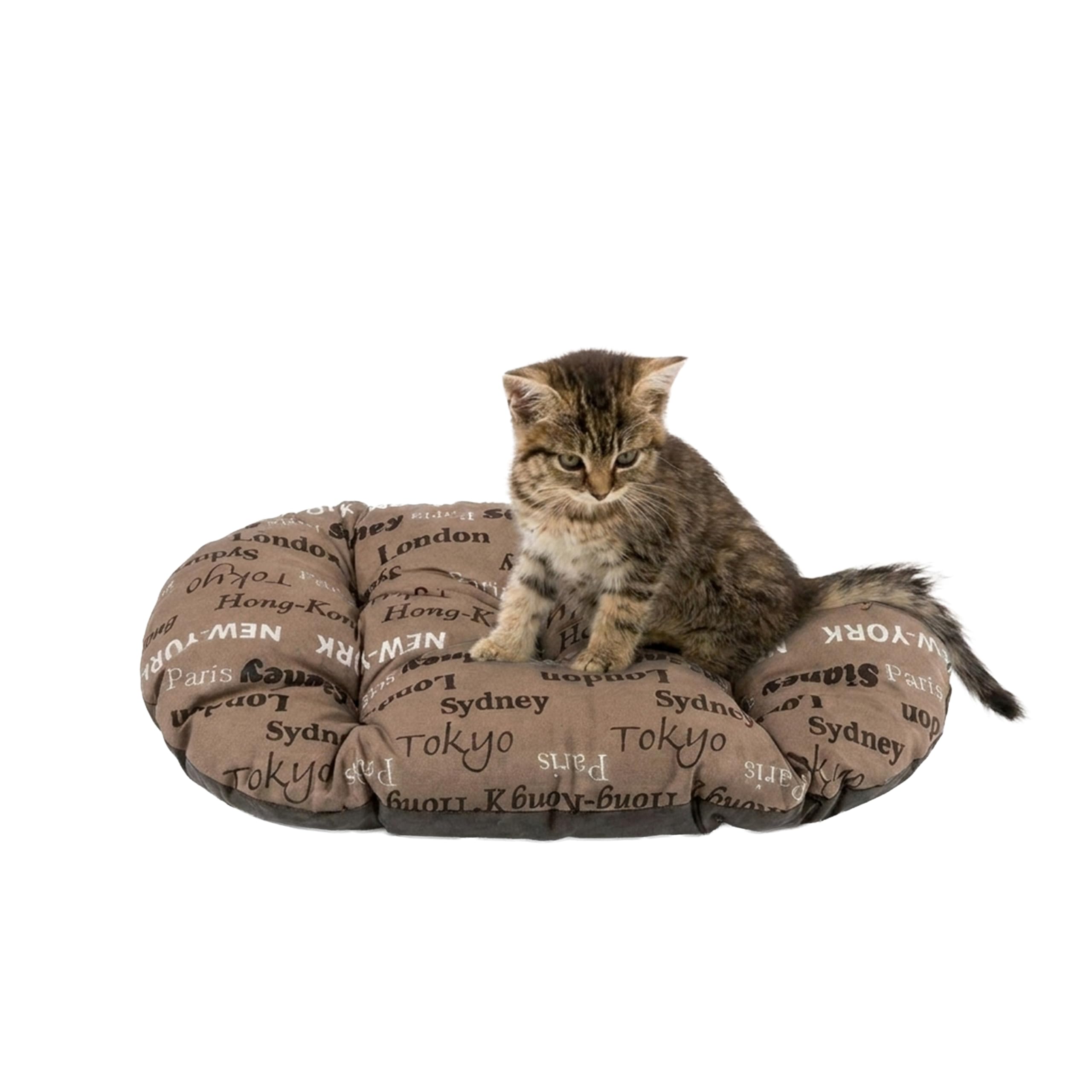 FERPLAST - Cuccia per cani e gatti - Cuscino per cani di piccole dimensioni - Materassino per cani - Tappetino per cucce e auto - Morbido letto per cani - Relax, 43 x 30 CM, MARRONE
