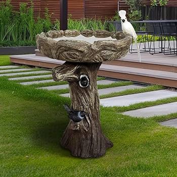 Tree Trunk Bird Bath: Transform Your Garden with Rustic Charm