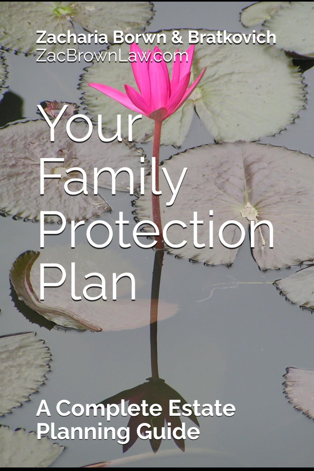 Your Family Protection Plan: A Complete Estate Planning Guide