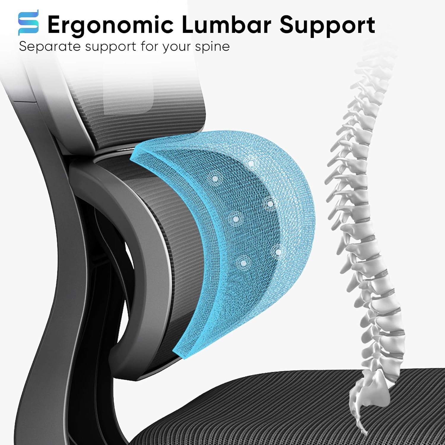 Diagram showing the ergonomic lumbar support of the Sytas Ergonomic Office Chair, highlighting its independent and adjustable design.