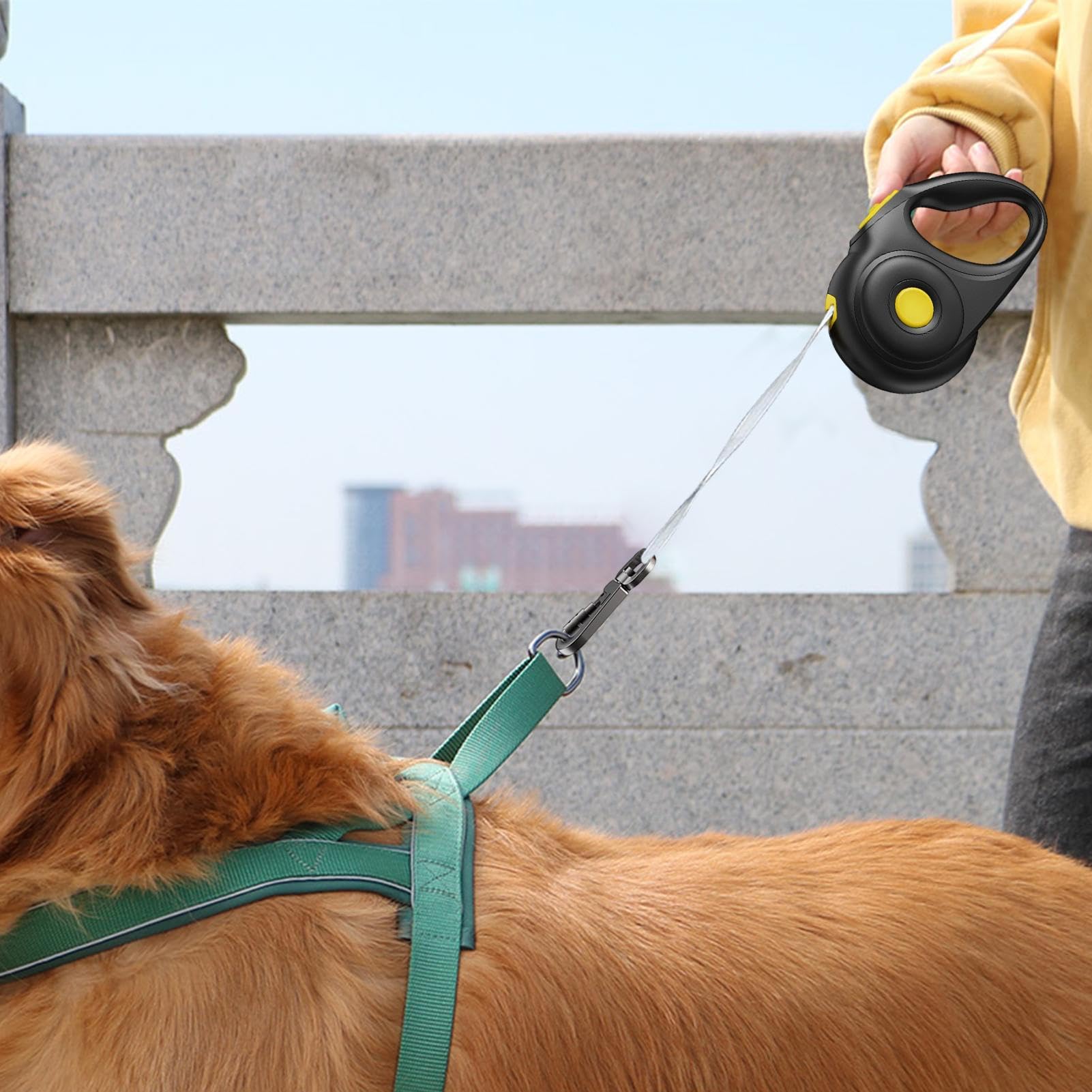 Corda Per Cani Guinzaglio Estensibile Con Blocco Semi-Automatico | Maniglia Ergonomica Con Arresto Istantaneo e Sicurezza a 180° per Giardino, Campeggio, Escursionismo e Spiaggia