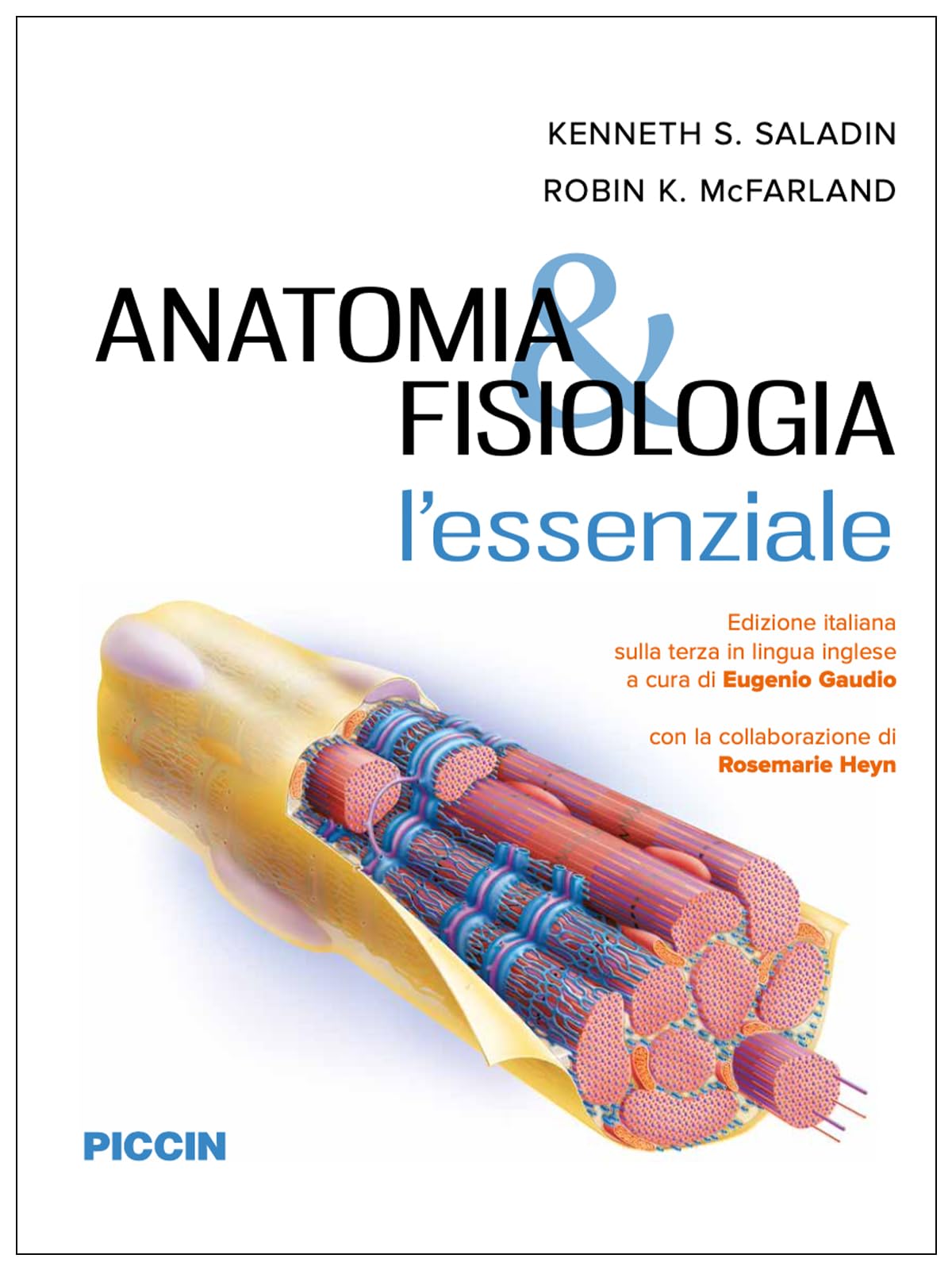 Anatomia e fisiologia. L'essenziale. Per le Scuole superiori