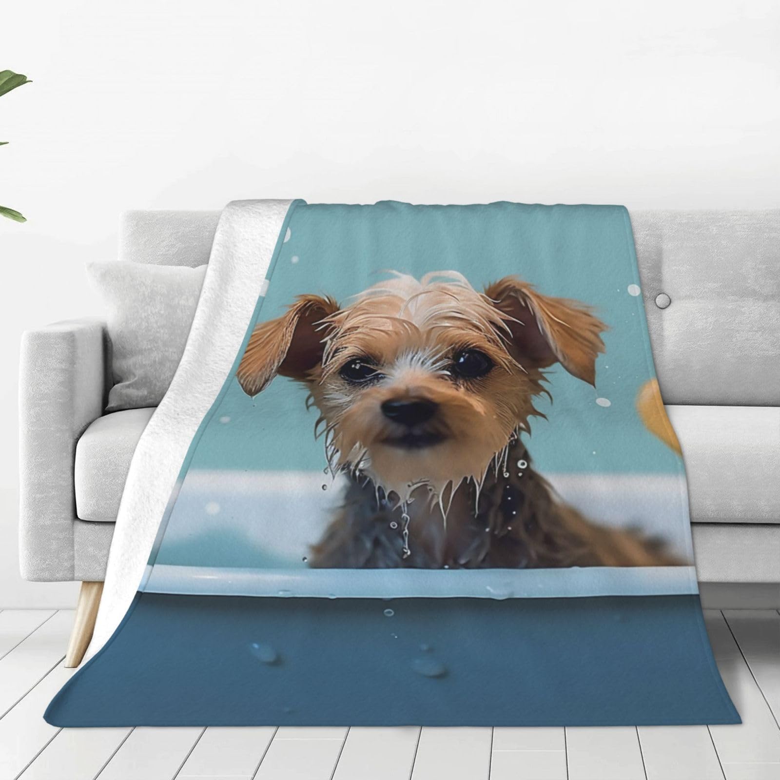 Couverture motif chien dans le bain plaid flanelle pour soiree canape