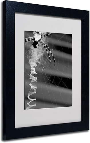 Trademark Fine Art Patty Tuggle - Arte enmarcado de araña y telaraña en blanco y negro con marco negro, 11 x 14 pulgadas