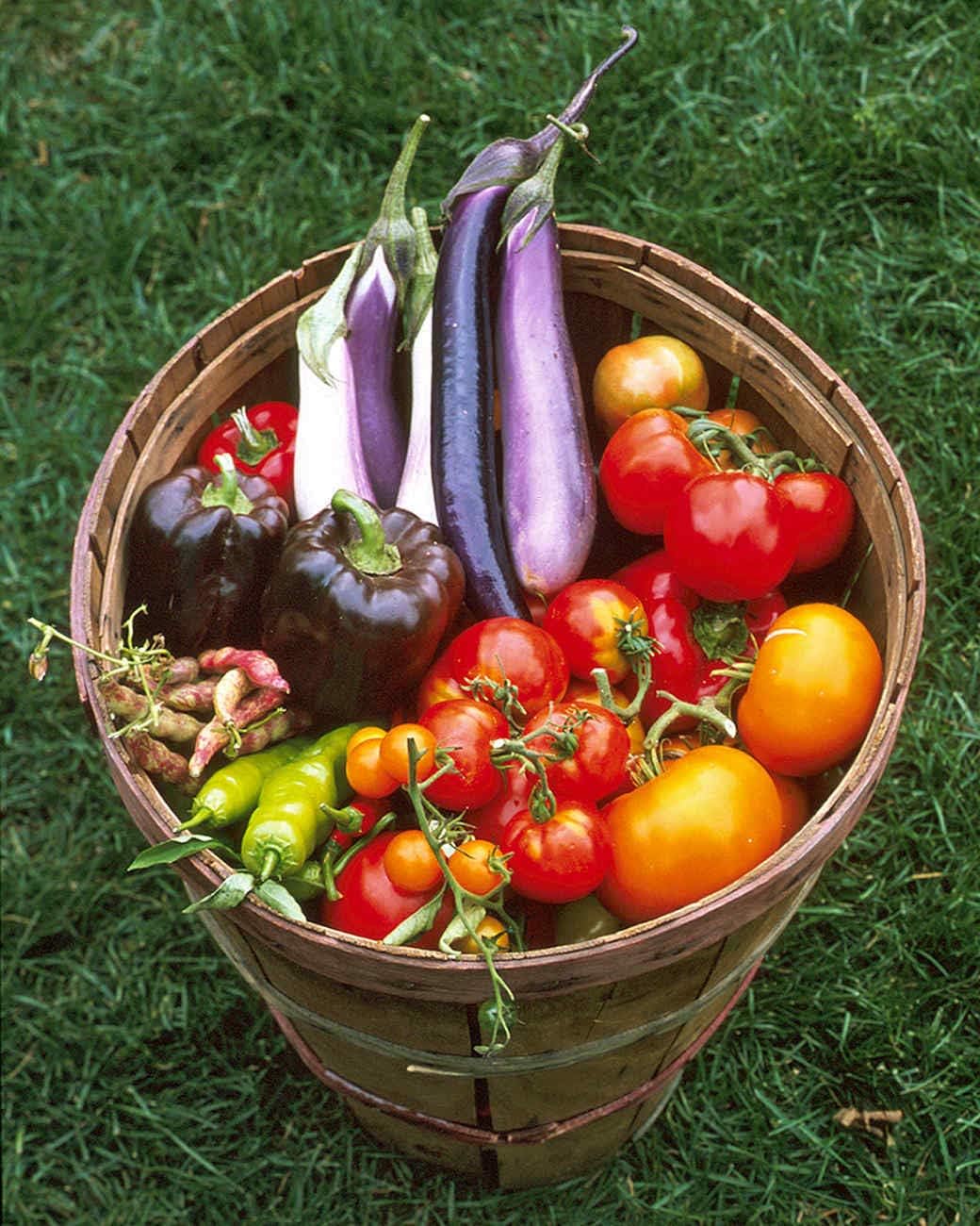 Garden Seeds Vegetable Variety Pack for Planting - Grow 125 Varieties of Heirloom Non GMO Quick Sprouting Veggies - Premium ​Seed Vault by Victory Gardens : Patio, Lawn & Garden