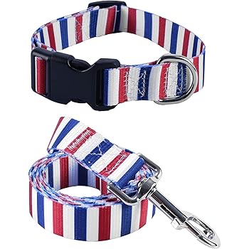 fun dog collars and leashes