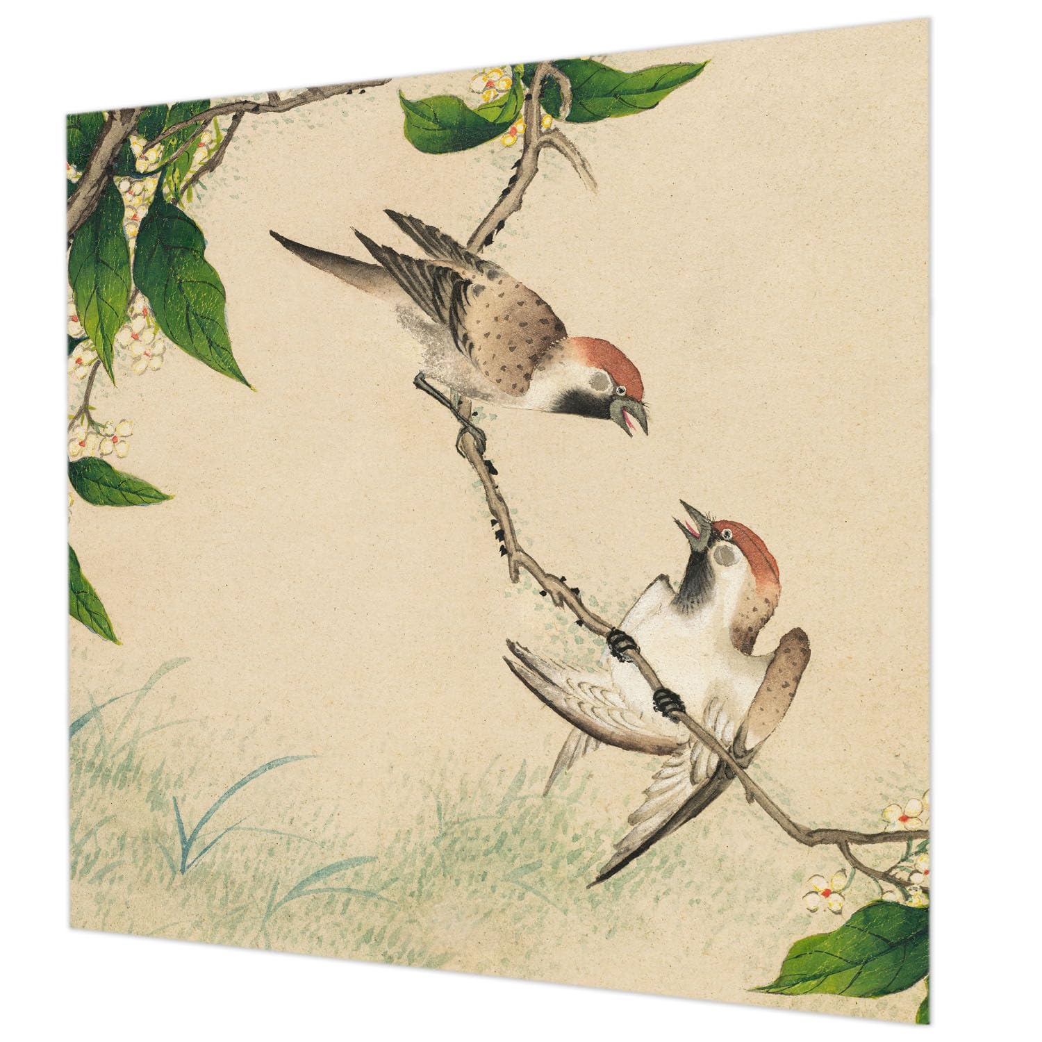 Pose murale papier peint intissé 250x250 cm colle incluse pour salon et chambre