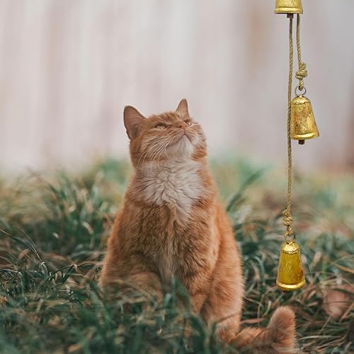 Miniatura 7 de Juego de 4 campanas rústicas colgantes de metal estilo shabby chic, campanas de vaca de meditación de inspiración tibetana con cuerda de yute,