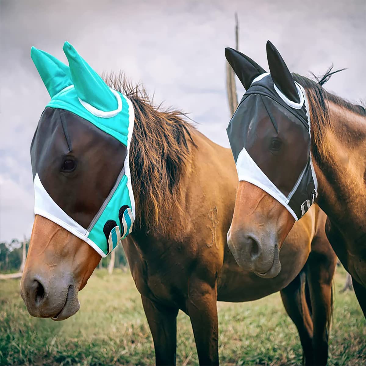 TopHomer Masque anti-mouches en maille fine avec oreilles - Respirant - Anti-moustiques - Pour cheval - Noir et blanc - Taille L