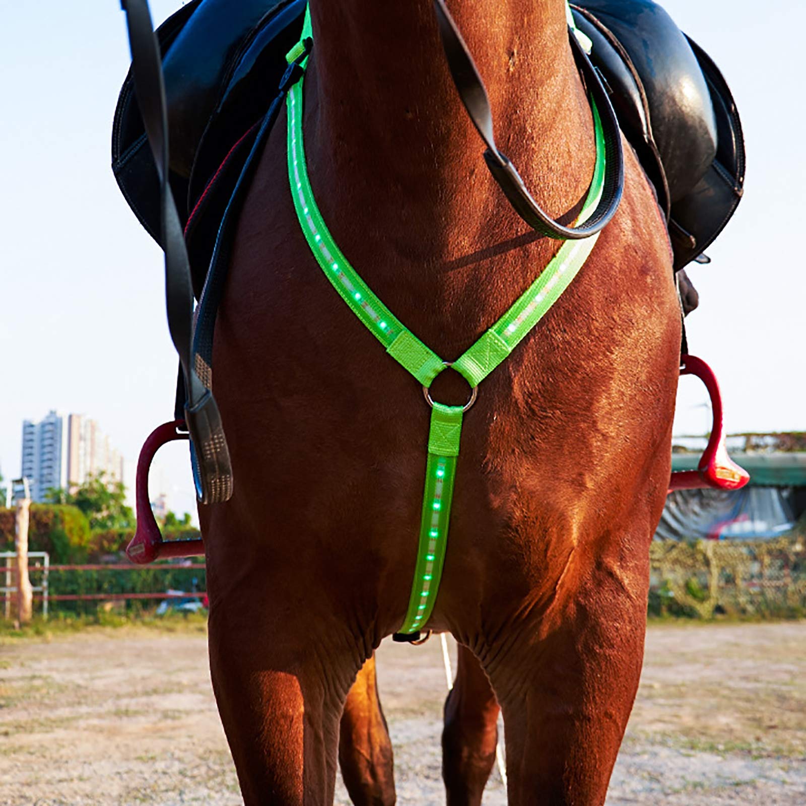 Collares de coraza de Caballo Intermitente,LED Collar de Tachuela de Alta Visibilidad Correa de Pecho de Caballo Luminosa Equipo de Equipo de Seguridad para Montar a Caballo de Noche,Verde