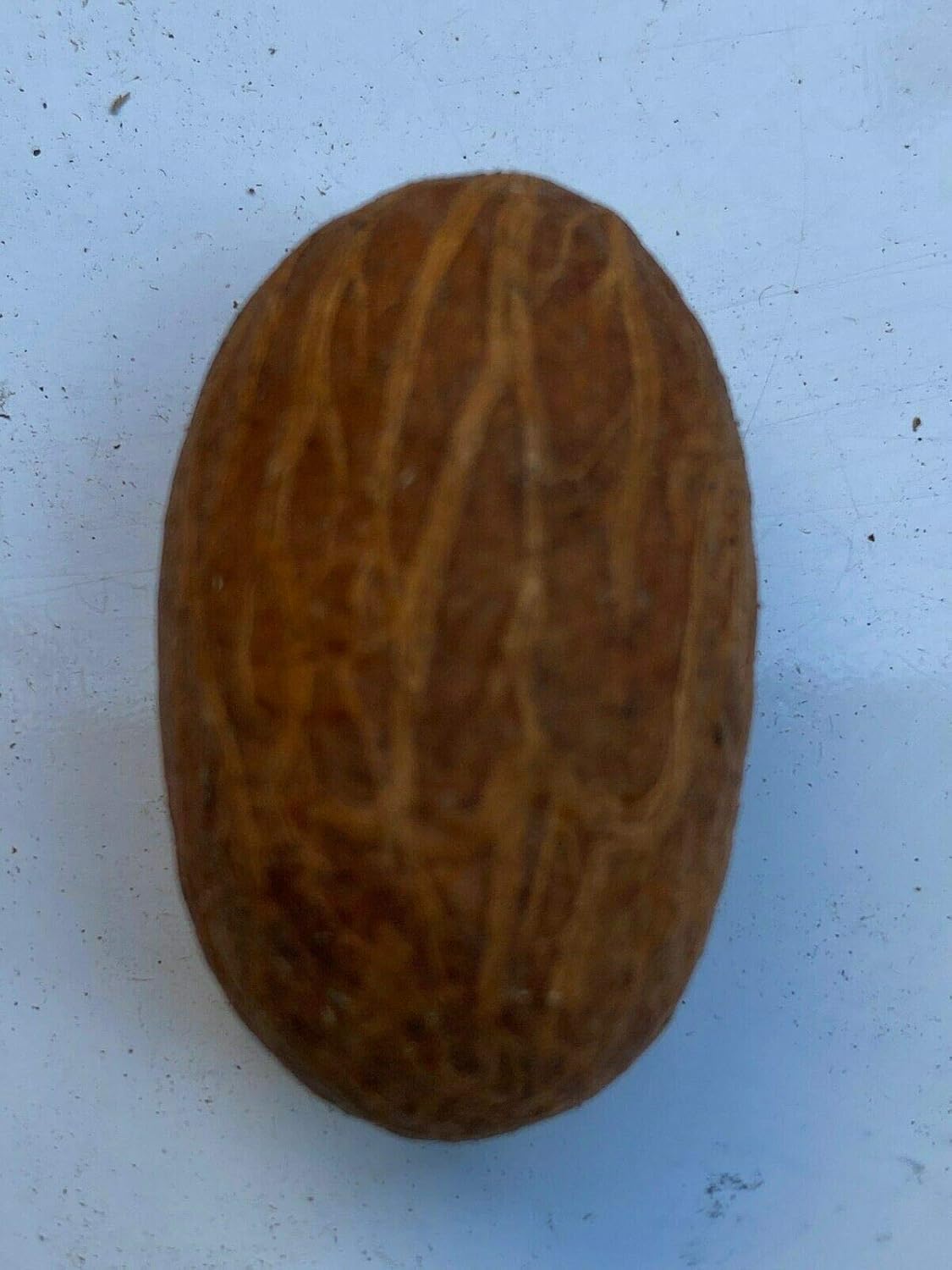 Generic HGU Bitter Kola Nut Garcinia Kola Cola 1 Lb