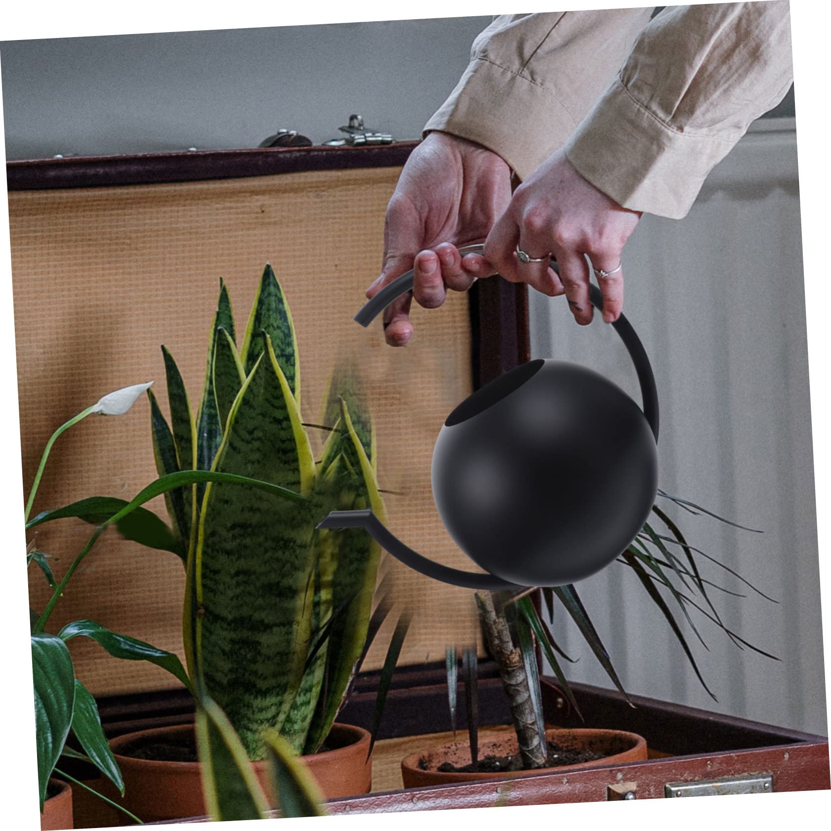 Arrosoir Simple 1l en Acier Inoxydable Noir pour Plantes et Maison