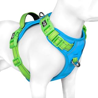 PHOEPET Hundegeschirr Kleine Hunde, Anti Zug Verstellbar mit Griff,Blaue S | No Pull & Vollständig Verstellbar，2 D-Ringe，Schnellverschluss-Schnallen，Atmungsaktive Polsterung，Reflektierend