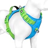 PHOEPET No Pull Dog Harness, Unique Colors Reflective Adjustable Dog Vest, with Soft Training Handle Metal Clips for Small Medium Large Dogs (Blue Base & Green Straps,L)