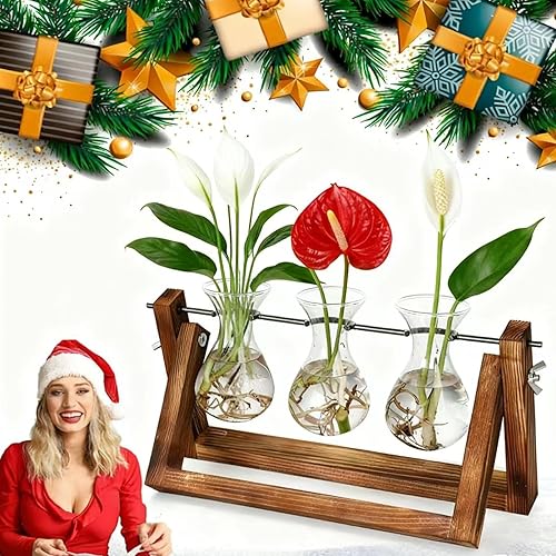 Miniatura 49 de YIBOT Estación de propagación de macetas para colgar en la pared, florero de cristal para plantas hidropónicas, terrario de plantas con soporte