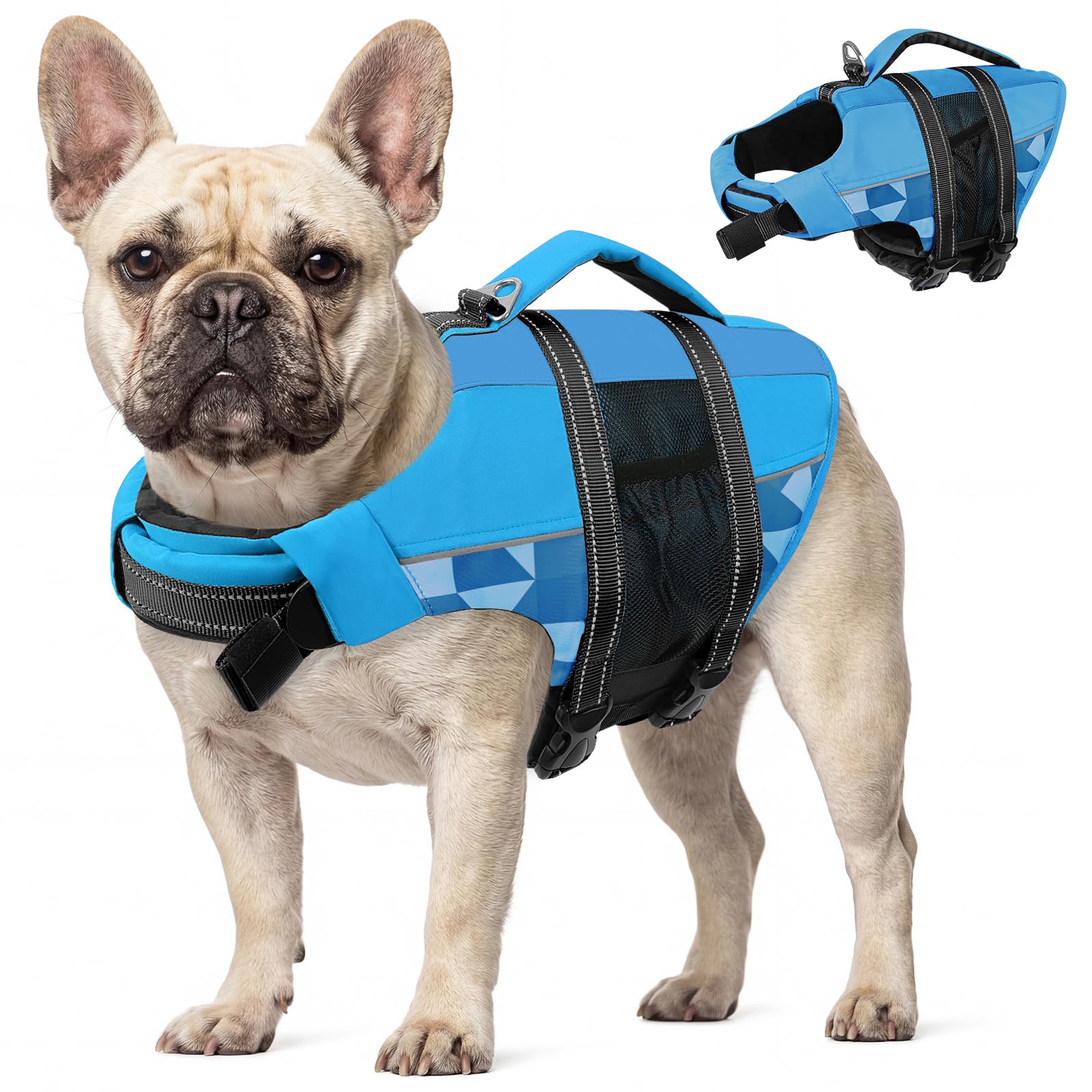 CITÉTOILE Giubbotti di Salvataggio per Cani, Regolabile Salvagente per Animali con Manico, Costume da Bagno di Sicurezza in Acqua per la Vela in Piscina Sulla Spiaggia, Blu, M