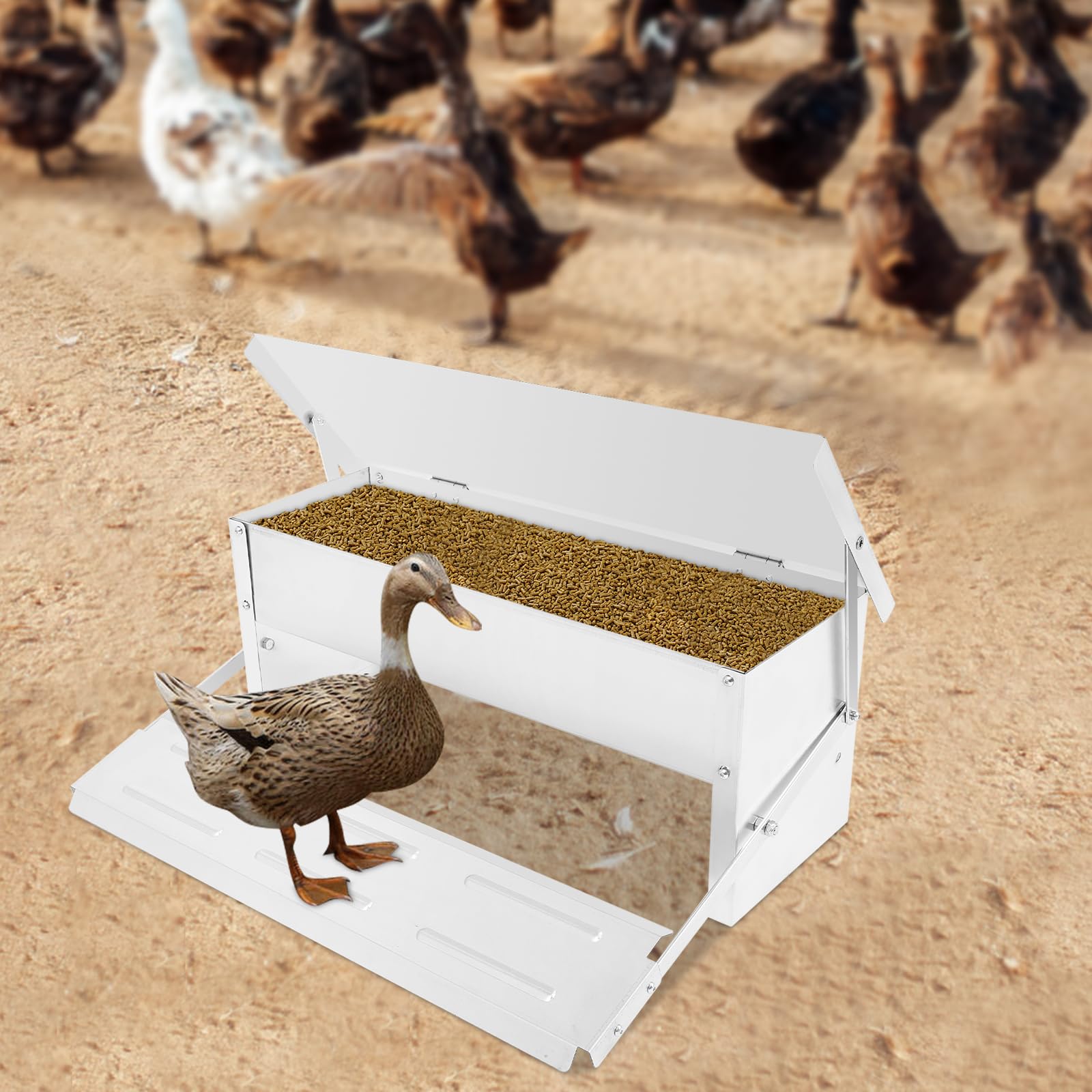 Comedero automático para gallinas, comedero automático para aves de corral de acero galvanizado, adecuado para la cría de pollos, gallinas y otras aves de corral