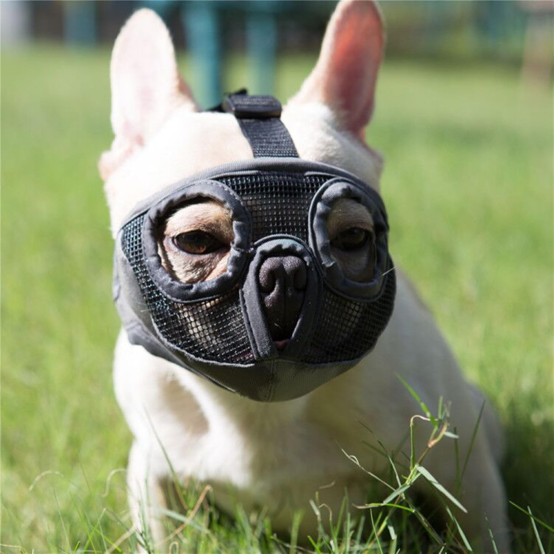 Short Snout Dog Muzzles- Bulldog Muzzle Breathable Mesh Dog Mask for Biting Chewing Training Licking Grooming (Grey, Small(23-31cm))