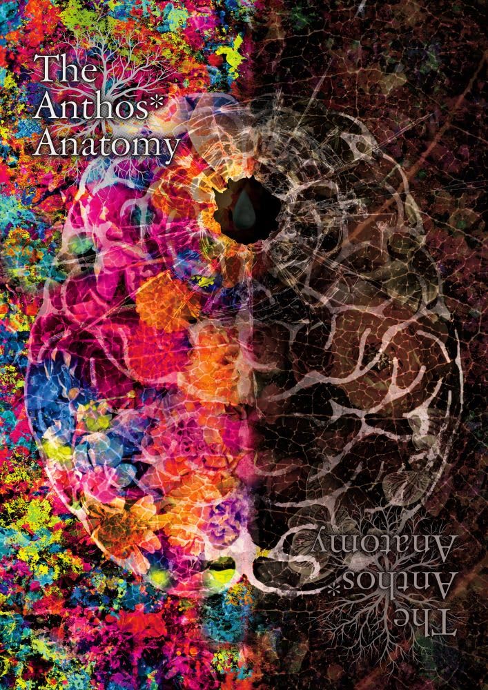 Amazon.co.jp: 華Doll* The Anthos* Anatomy [DVD] : Anthos*: DVD