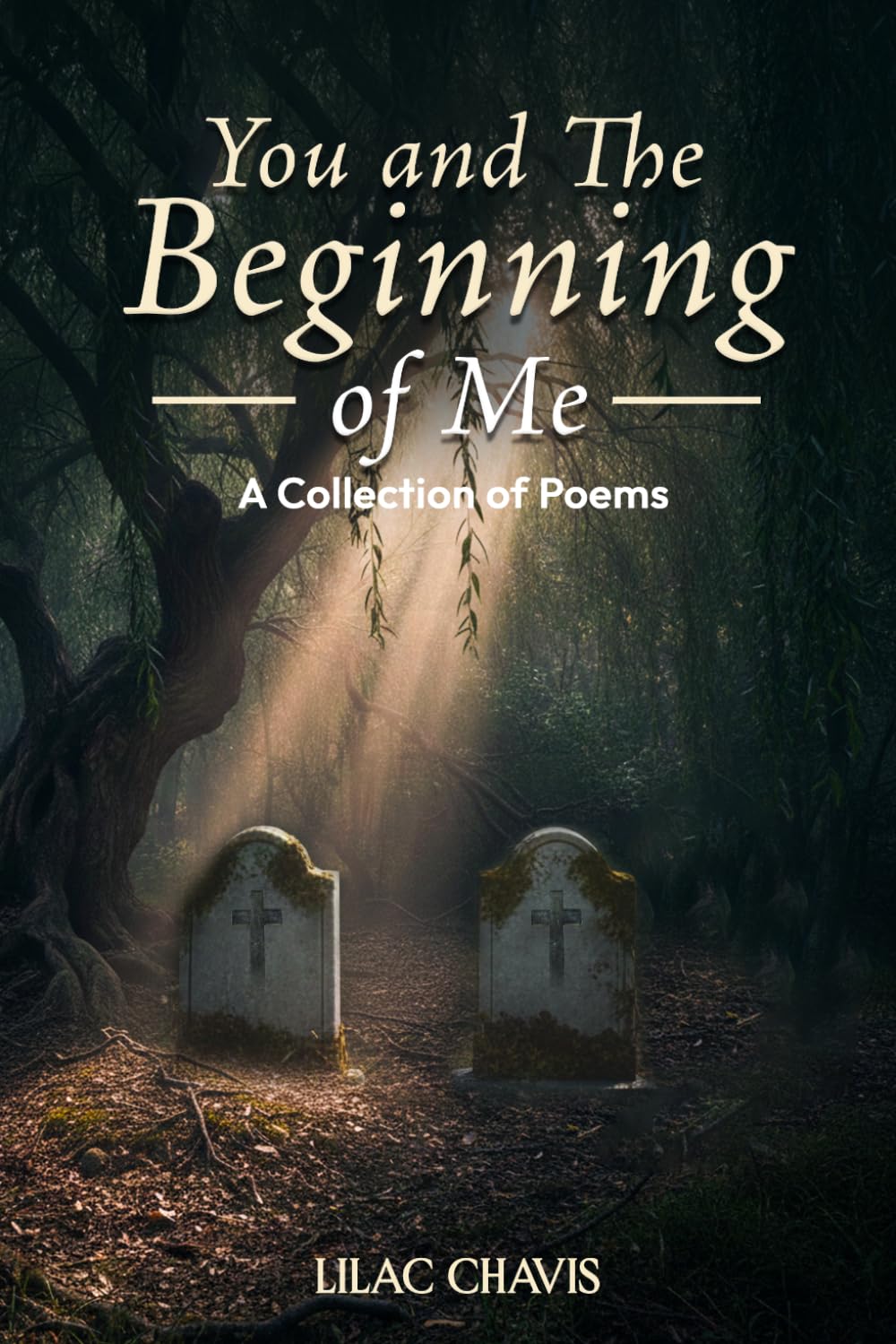 You & The Beginning of Me: A Collection of Poems